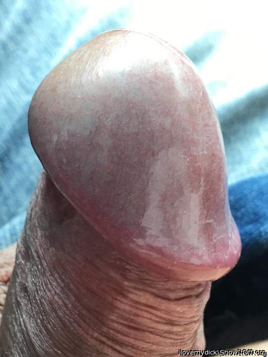 Photo of a cock from ilovemydick