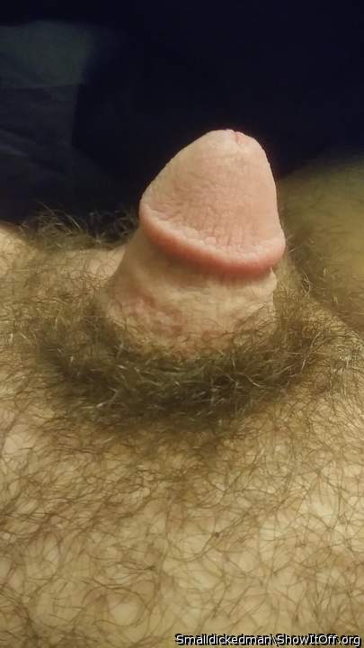 Lovely sexy dick...VERY nice!!  
