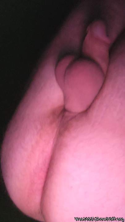 Photo of a short leg from Wes1022