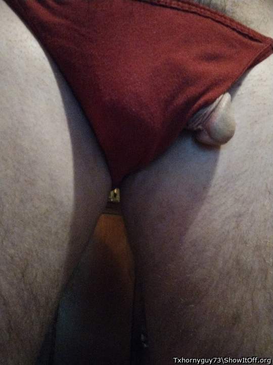 Photo of a cock from Txhornyguy73