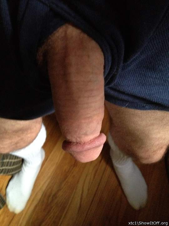 nice large heavy looking penis.  I would love to lick and su