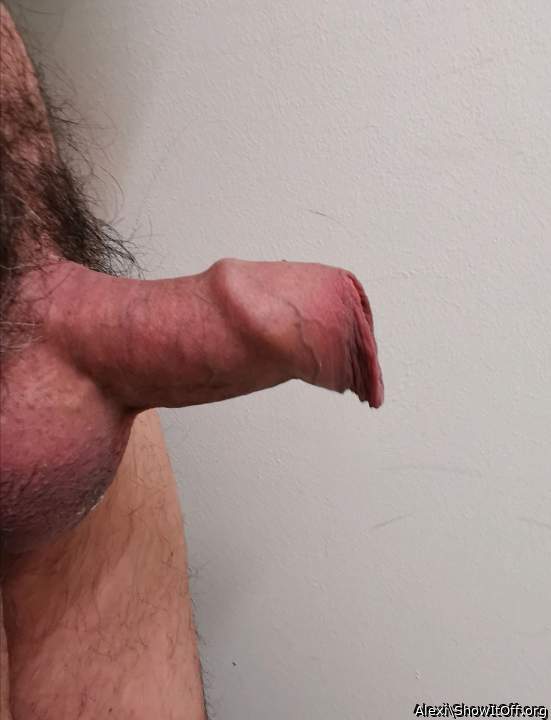 Foreskin overhang on hard dick