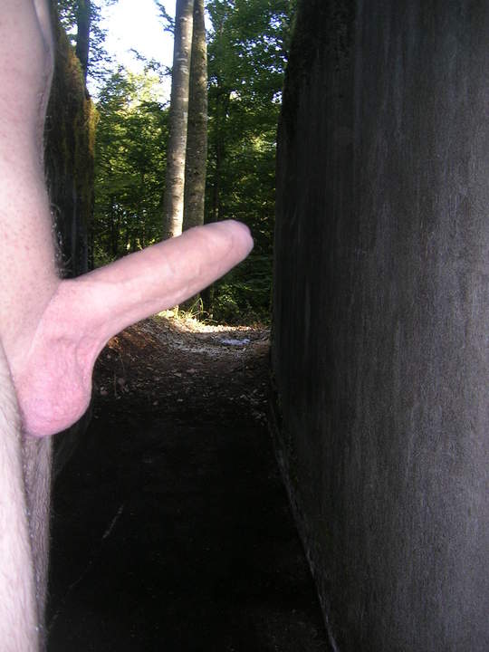 Photo of a cock from raurach