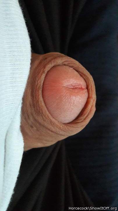 Photo of a phallus from massivecock