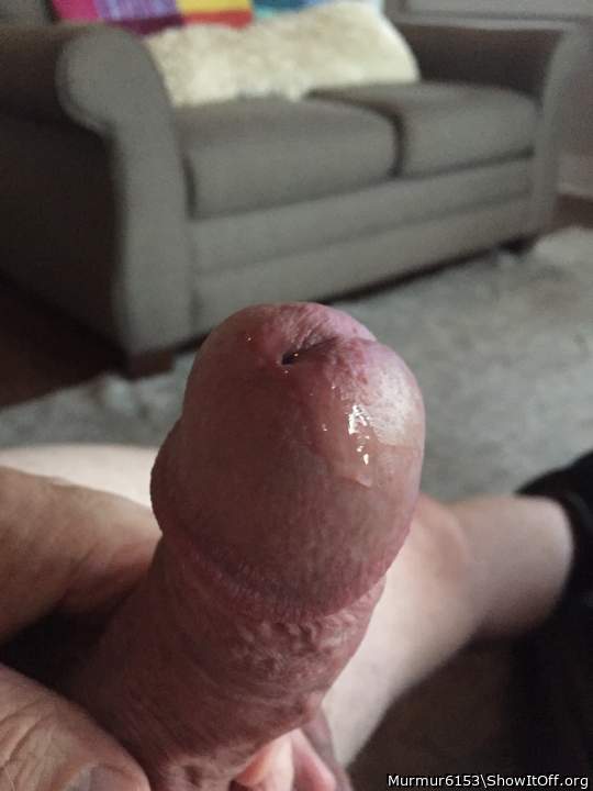 Photo of a boner from Murmur6153