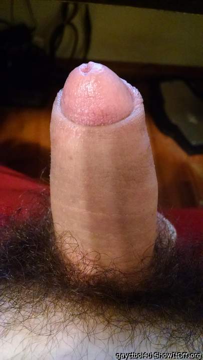 BEAUTIFUL.....cock, I would love to have it!!!!!  