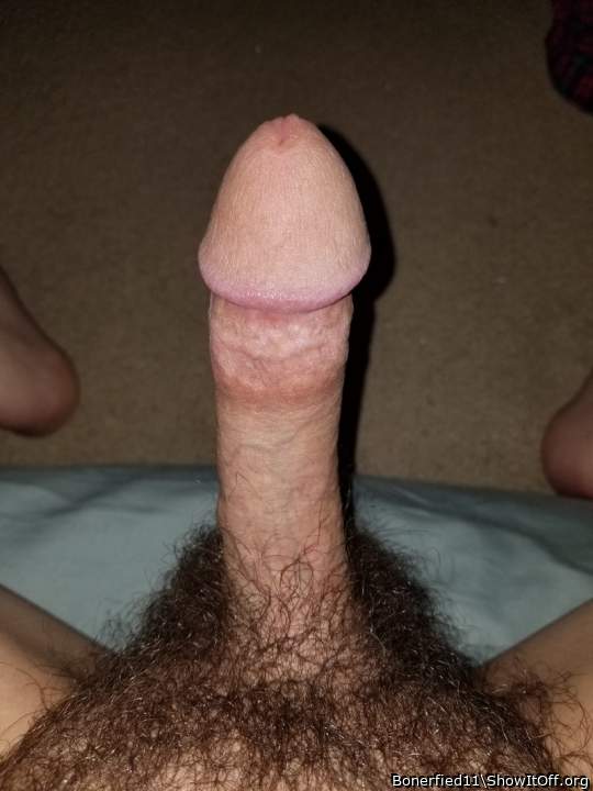 Photo of a penile from Bonerfied11
