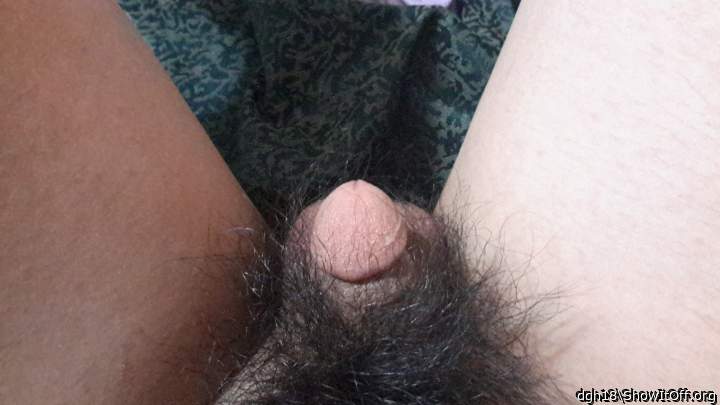Very nice love seeing your soft cock and thick pubes 
