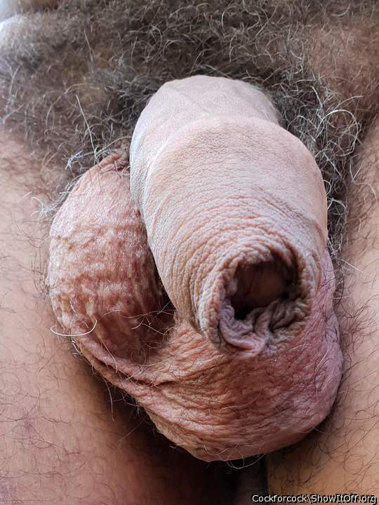 That's a fantastic uncircumcised cock 