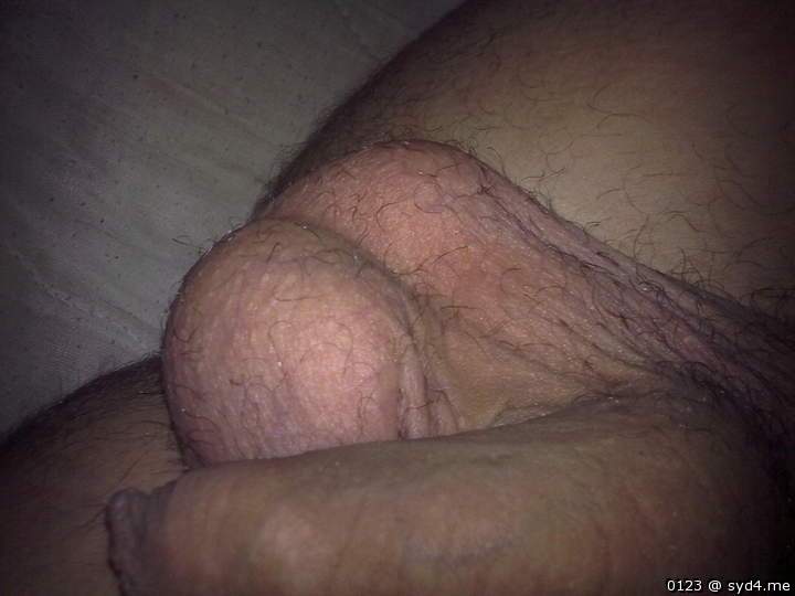 Photo of a cock from 0123