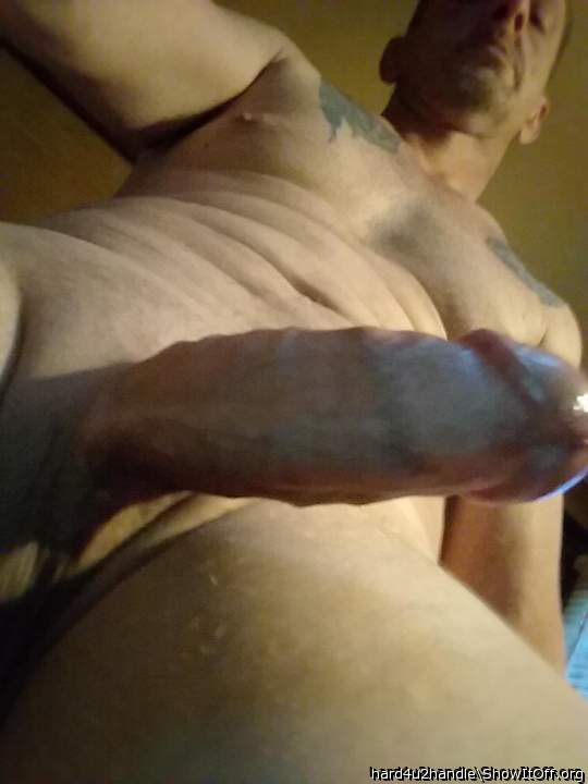 Photo of a dick from hard4u2handle