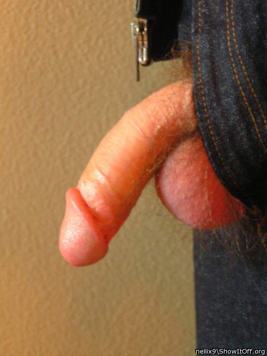 Photo of a dick from nellix9