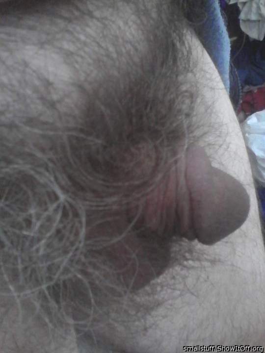Great hairy cock 