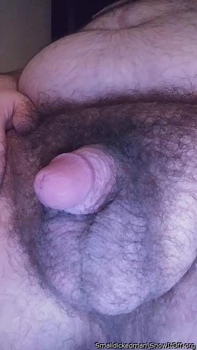 &#129316;&#129316;awesome cock and balls