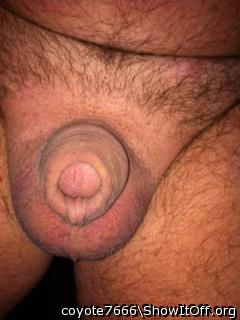 &#129316;&#128069;&#128166;&#128523;awesome cock an balls