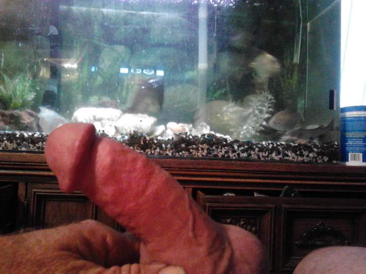 Photo of a penis from fish4free