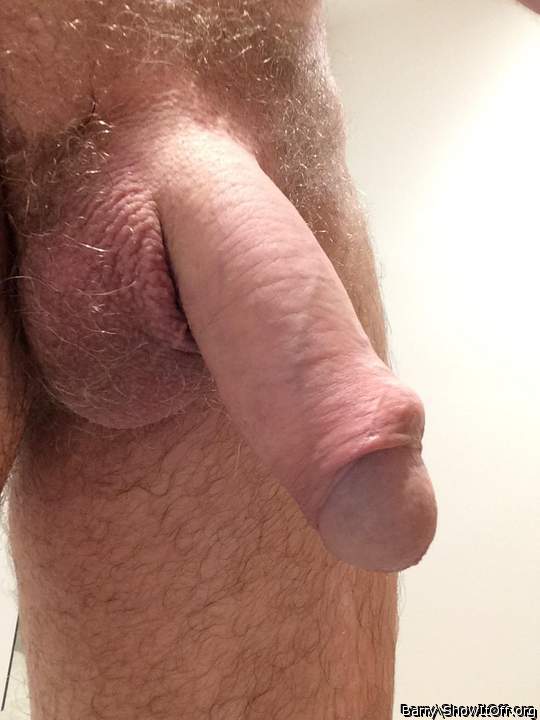  Would love to   what a beautiful cock...Blue Ribbon quallit