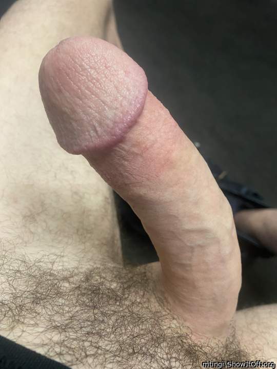 That is a beautiful head, with very nice circumcised shaft. 