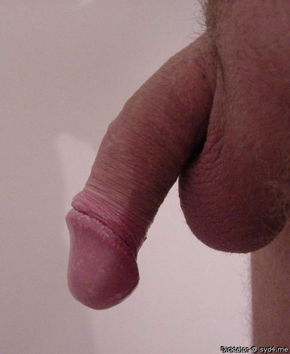 Photo of a meat stick from Dicktator