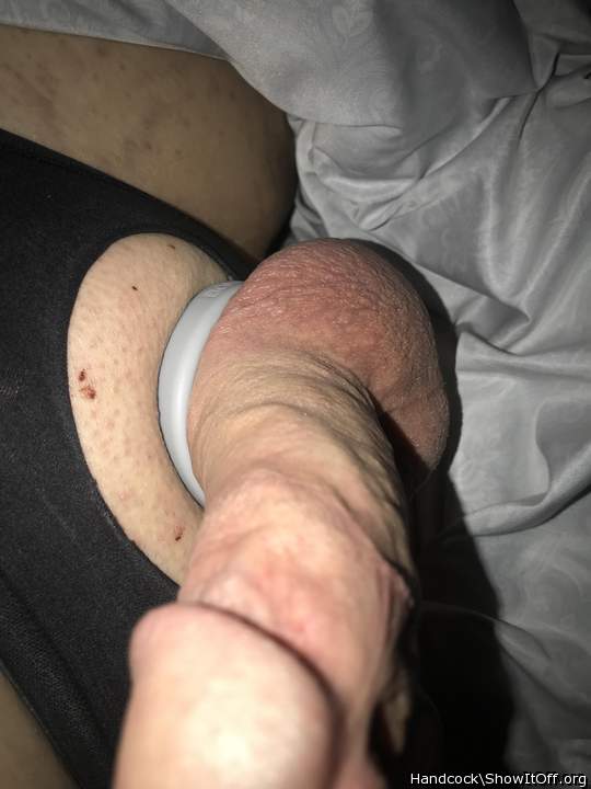 Photo of a middle leg from Handcock
