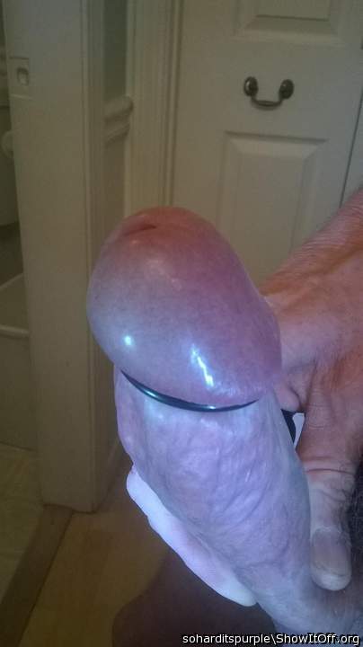 Great looking cock 
