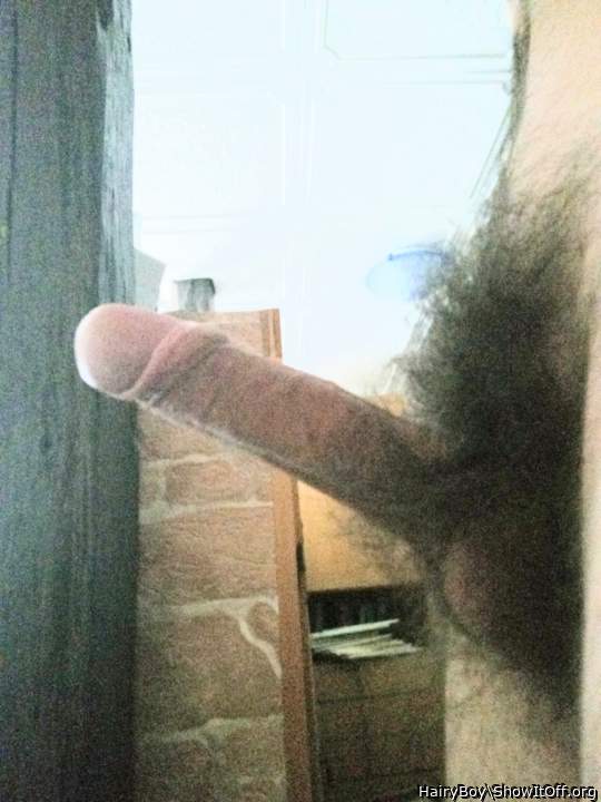 Photo of a meat stick from HairyBoy