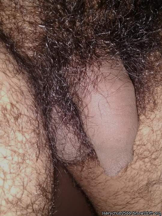 Hairy, uncut, and flaccid