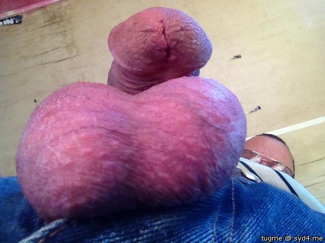 Testicles Photo from tugme