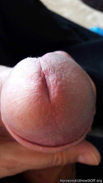 Photo of a penis from massivecock