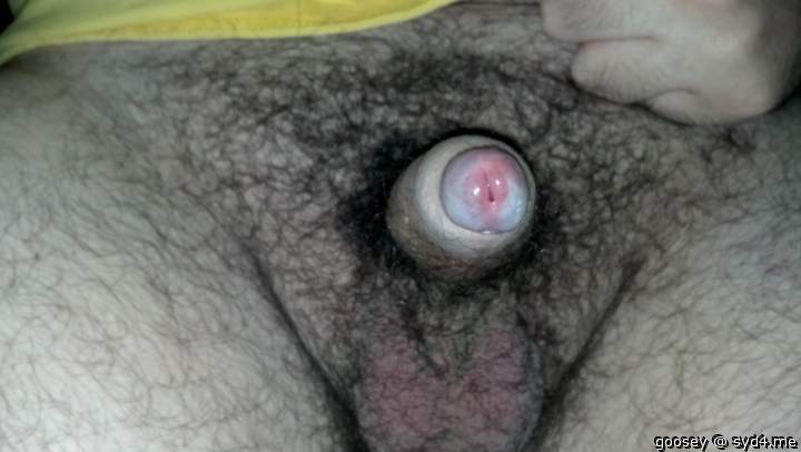 Photo of a penile from Goosey