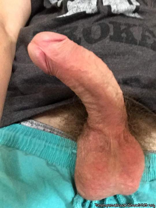 Photo of a penis from Timmysmallcock