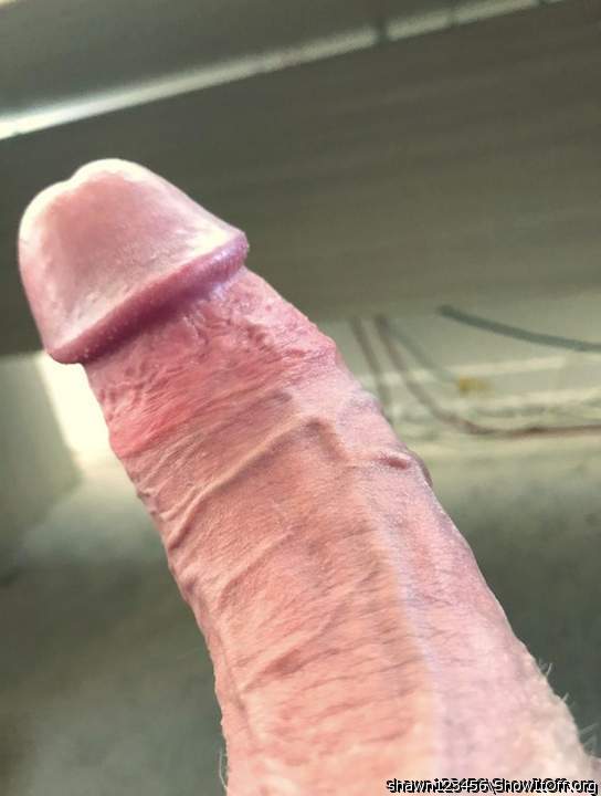 Photo of a dick from shawn123456