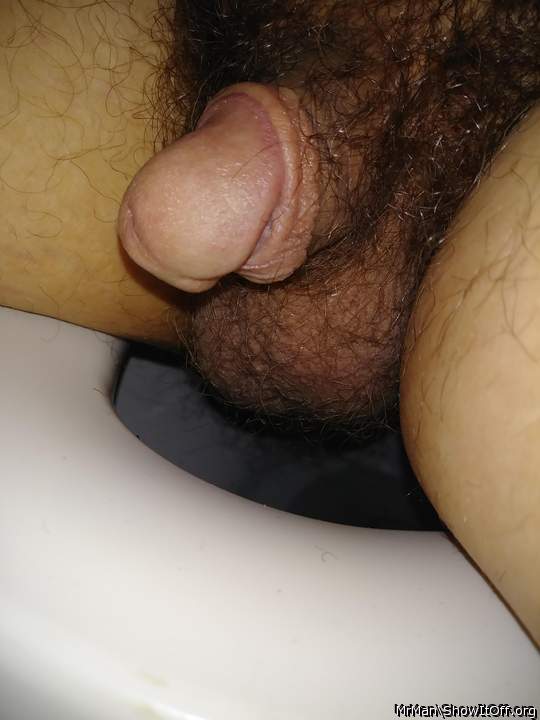 nice hairy dick and balls. don't shave it, it looks good lik