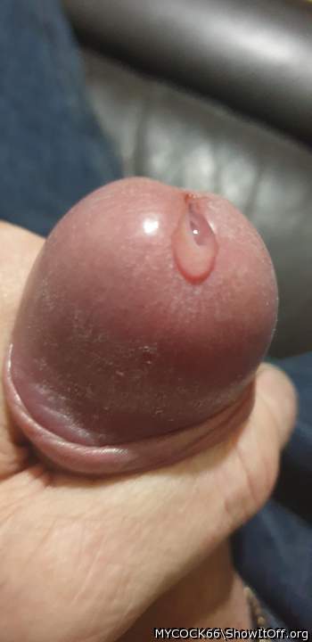 Photo of a dick from MYCOCK66