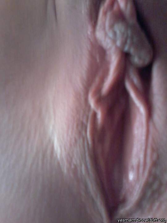 my wifes pussy