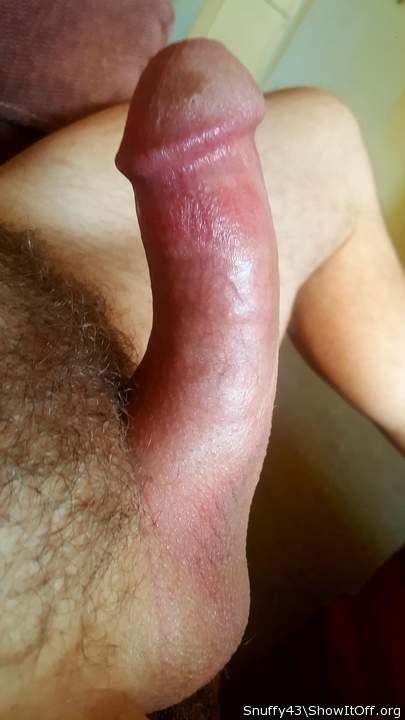 My little thick hard dick