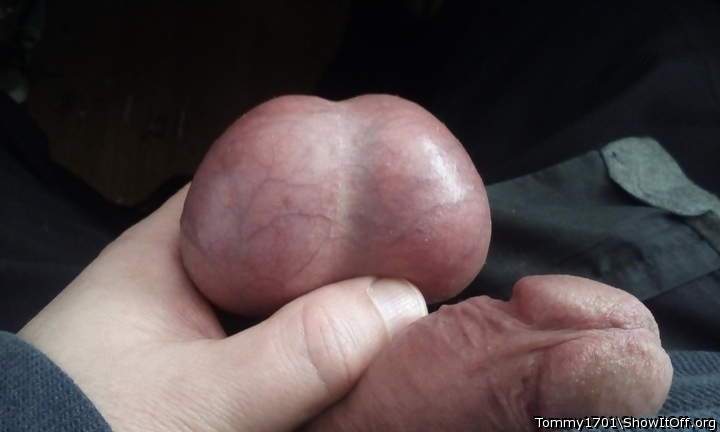 Testicles Photo from Tommy1701