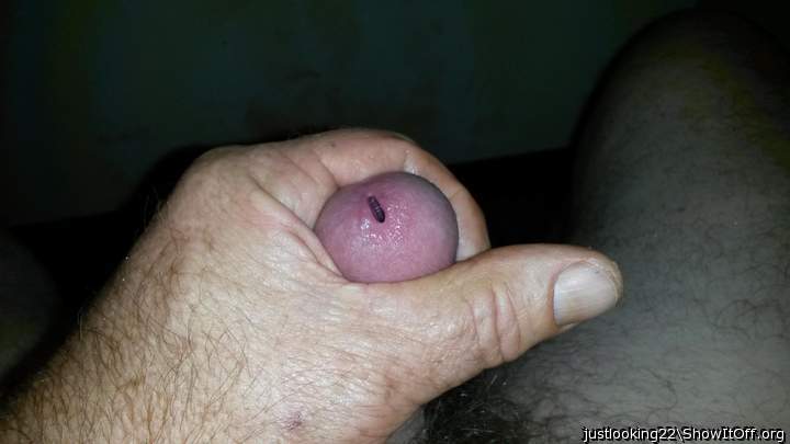 Photo of a penis from justlooking22