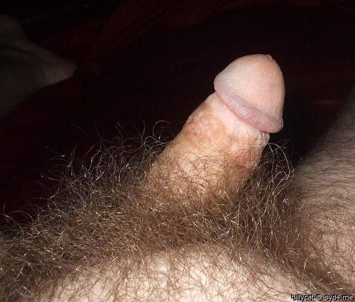 Beautiful cock and thick pubes!