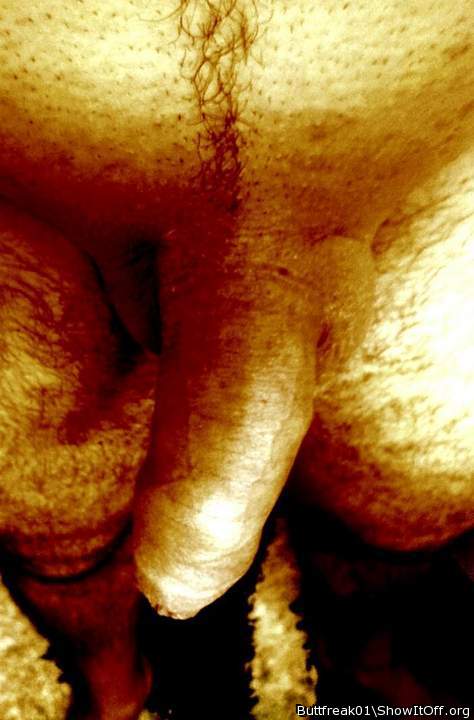 Photo of a penis from buttfreak01