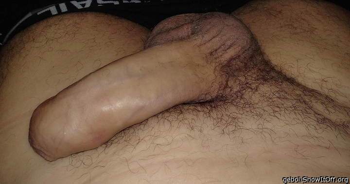 Photo of a boner from gebol
