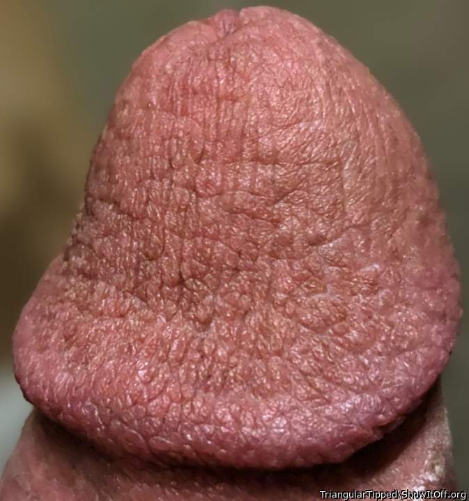 Great pic of my dick head!