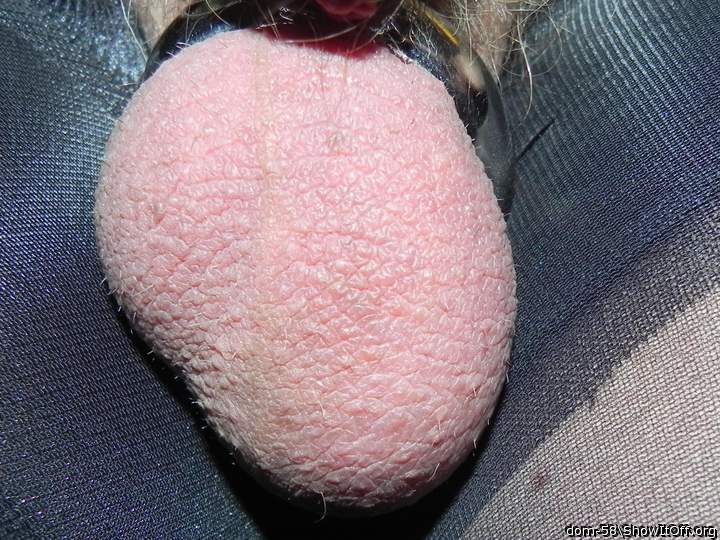 Photo of a penis from dom-58
