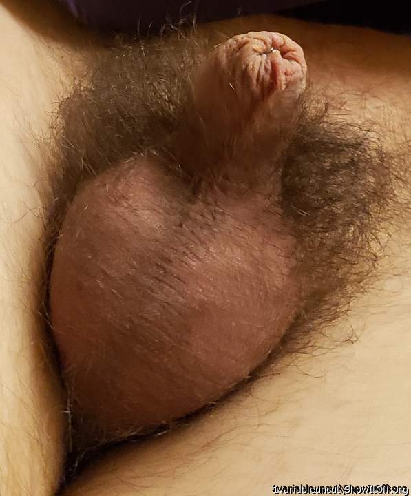 Hairy uncircumcised dick 