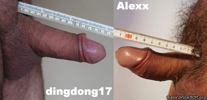 Comparison Dingdong17 and me