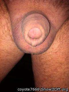 Sexy taste looking cock an balls