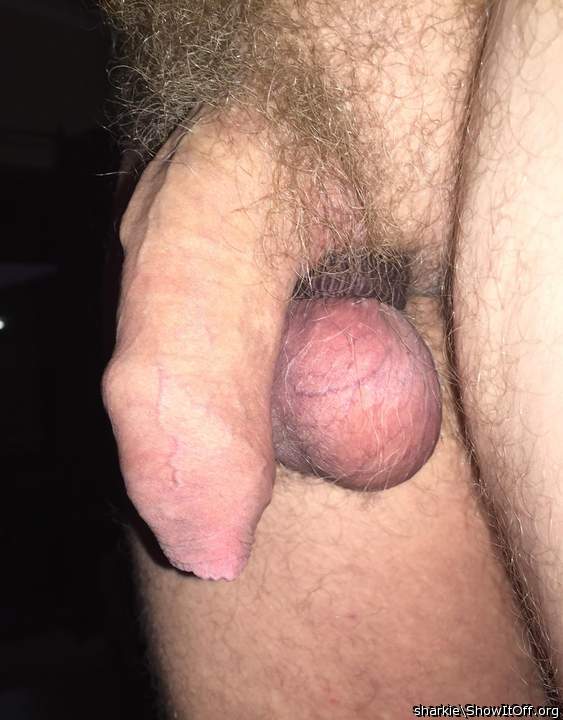   perfect, gr8 cock and balls and fab foreskin, luv it 