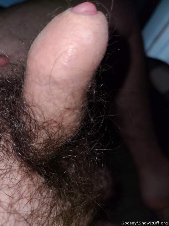 I love that hairy dick of yours