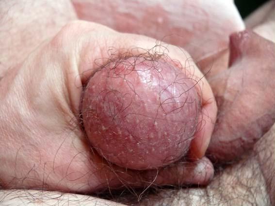 For those who love the testicles