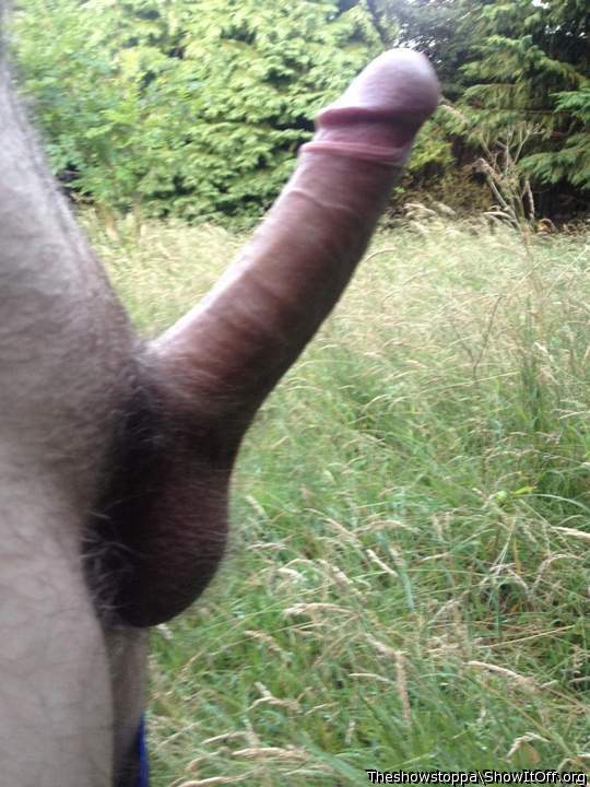 Great set of photos of your lovely big cock showstoppa.They'